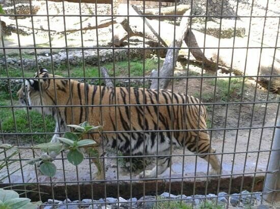 Parque Zoológico Municipal Quinzinho de Barros